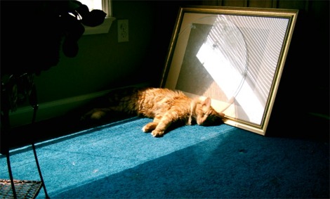 In the Sun